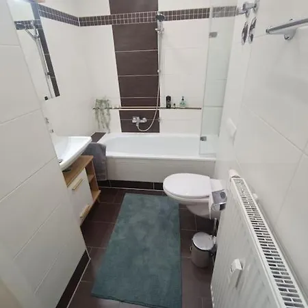 An Den Elbwiesen Neben Der Altstadt * Дрезден