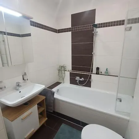 An Den Elbwiesen Neben Der Altstadt *