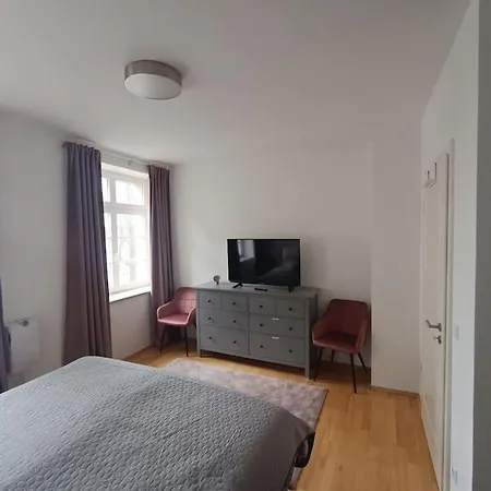 An Den Elbwiesen Neben Der Altstadt * Dresde