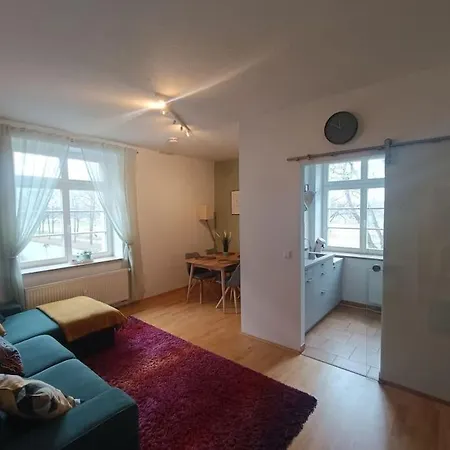 An Den Elbwiesen Neben Der Altstadt * Dresden