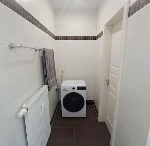 An Den Elbwiesen Neben Der Altstadt * Δρέσδη