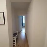 An Den Elbwiesen Neben Der Altstadt *