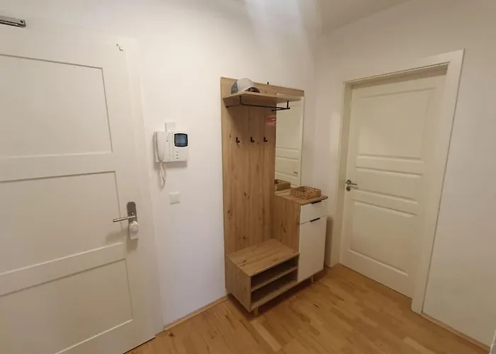 An Den Elbwiesen Neben Der Altstadt