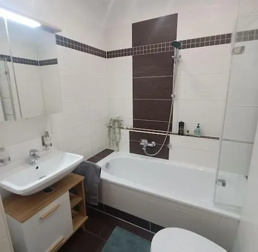 An Den Elbwiesen Neben Der Altstadt *