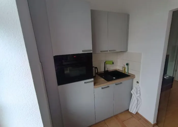 Апартаменты An Den Elbwiesen Neben Der Altstadt *