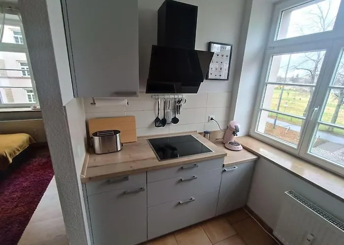 An Den Elbwiesen Neben Der Altstadt Апартаменты Дрезден