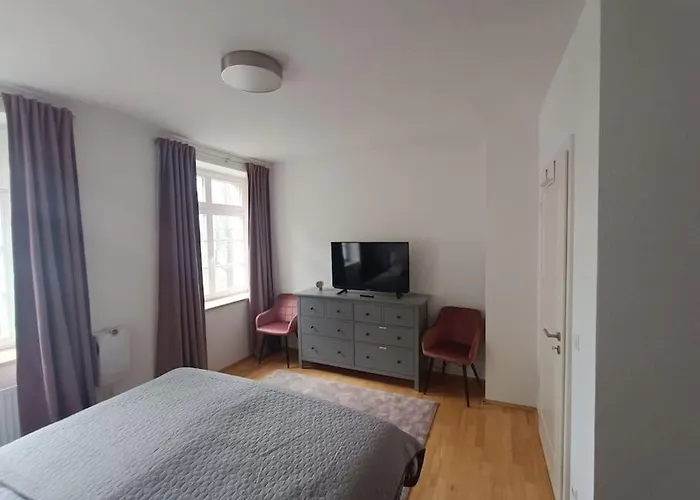 An Den Elbwiesen Neben Der Altstadt * Drezda