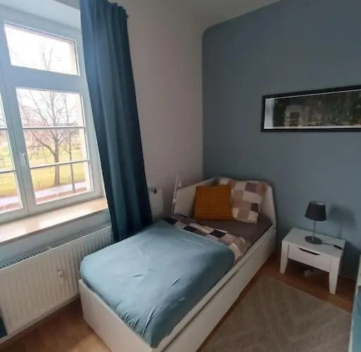 An Den Elbwiesen Neben Der Altstadt * Drezda