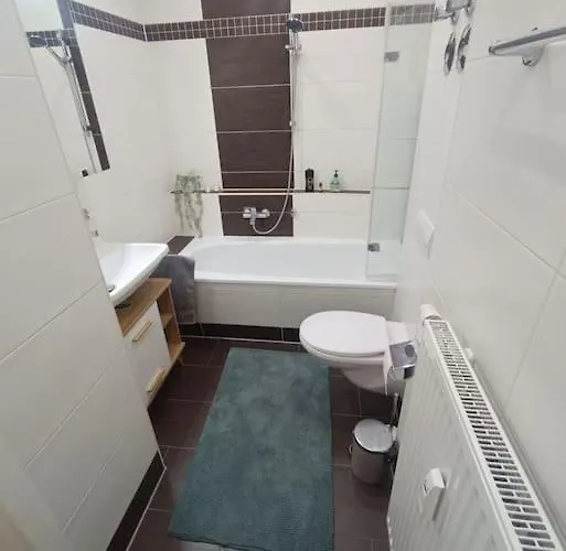 An Den Elbwiesen Neben Der Altstadt * Drezda