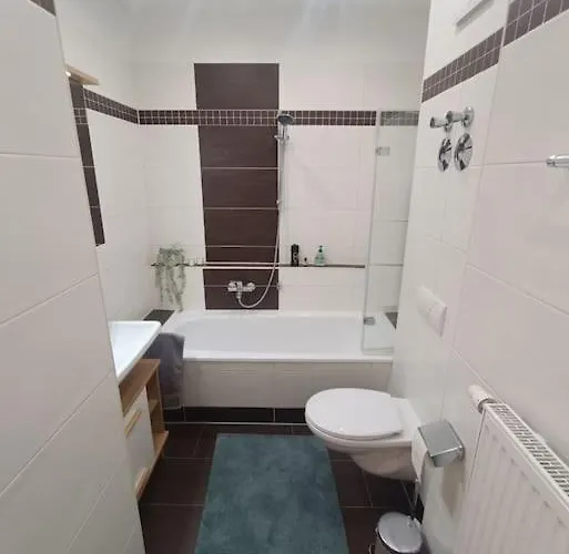 An Den Elbwiesen Neben Der Altstadt Apartman *